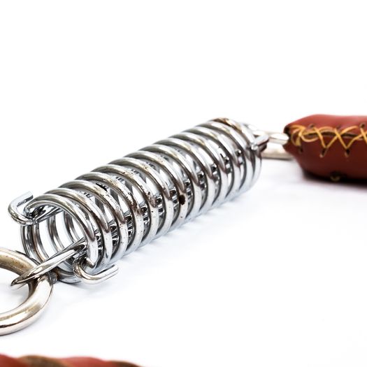 Leather Lead and Collar Set