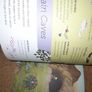 New book- Above and Below Image 3