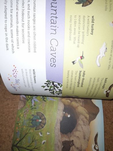 New book- Above and Below
