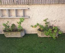10 garden pots and plants inc