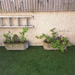 10 garden pots and plants inc