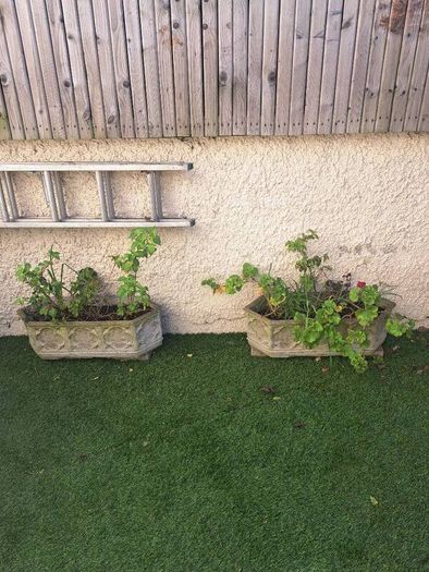 10 garden pots and plants inc