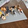 Dog collection plastic Image 6