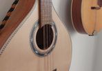 Octave Mandolin