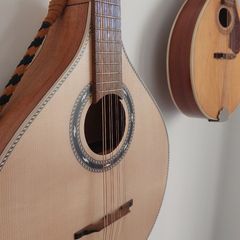 Octave Mandolin