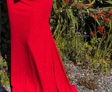 Dani's Closet red sparkly cross back debs dress