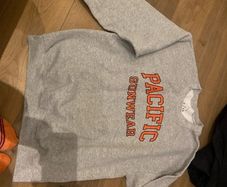 H&M Grey sweatshirt