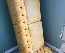 Free couch Micheal murphy