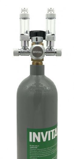 Co2 Duo Set Standard 2l
