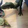 3 big dinosaurs Image 9