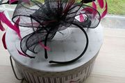 fascinator