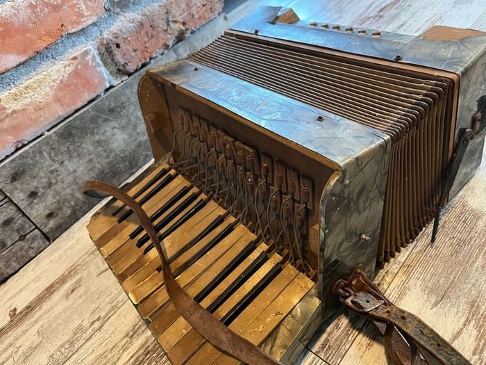 vintage Accordion