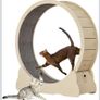 Cat Exercise Wheel Image 2
