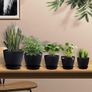 8 Pack Plant Pots Image 2