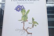 V large hardback book, An Irish Florilegium, D18 post 15e