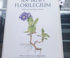 V large hardback book, An Irish Florilegium, D18 post 15e