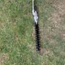 hedge cutter Image 2