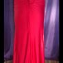 Dani's Closet Red Debs  dress Image 3