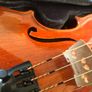 violin 4/4 Stentor Conservatoire Image 2