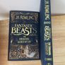 Fantastic Beasts and Where to Find Them: The Original Screenplay by JK Rowling Image 3