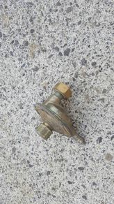 Gas Regulator