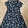 Ladies Brakeburn dress Image 3