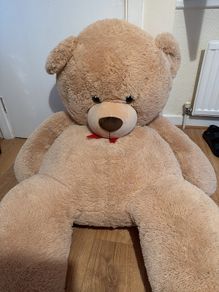 teddy bear