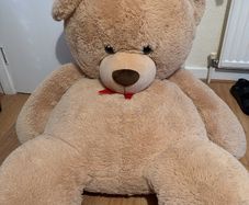 teddy bear