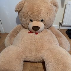 teddy bear