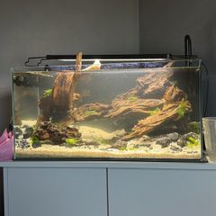54l aquarium setup - custom build