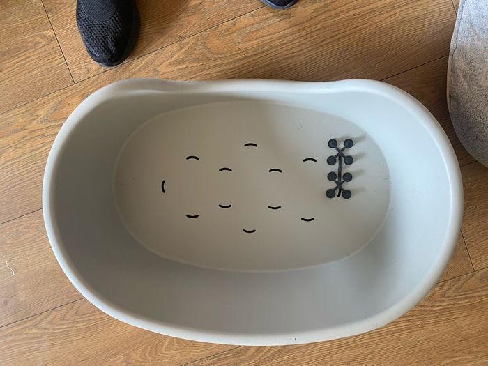 dog bed