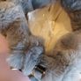 Fur grey handbag Image 5