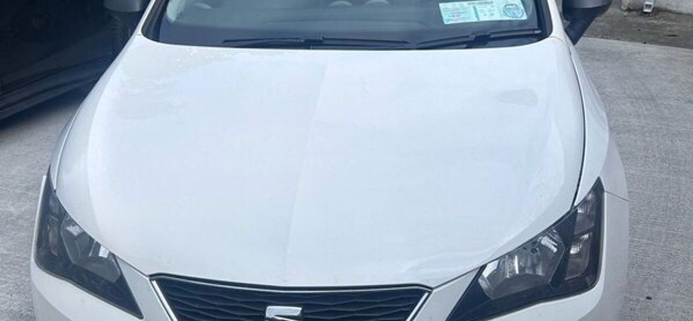 Seat Ibiza SE