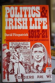 Politics and Irish Life 1913-1921