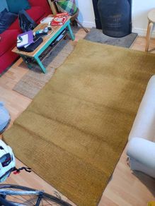 IKEA langsted carpet/rug