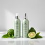Dog Grooming Bundle to Reduce Shedding  Shampoo + Dry Spray Image 3