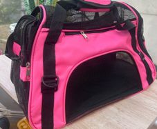 dog bag