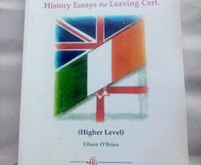 Book: Modern Ireland History Essays