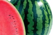 (W) Watermelon Bedouin H seeds (5s) (125388)