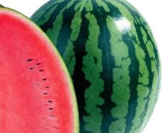 (W) Watermelon Bedouin H seeds (5s) (125388)