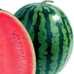 (W) Watermelon Bedouin H seeds (5s) (125388)