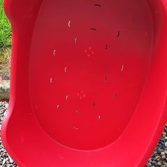 Dog bed plastic