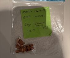 lego march Harriet from Batman movie cmf001534