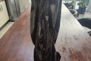 Very Large Fossil Nautiloid 53cm
