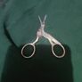 scissors Image 2