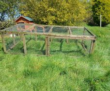 Hen / animal run