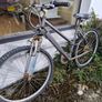 5 bikes Image 4