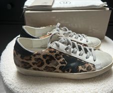 trainers