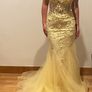 Debs dress Dani Closet Image 3