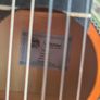 Guitar Image 2